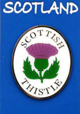 THISTLE BRASS MAGNET