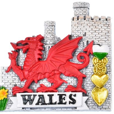 WALES DRAGON CASTLE & DAFFODILS MAGNET