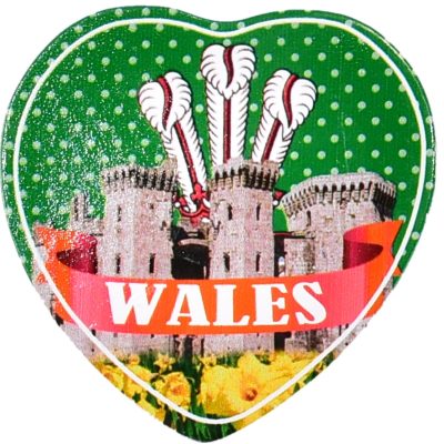 Wales Castle 3d Printed Resin Heart Magnet