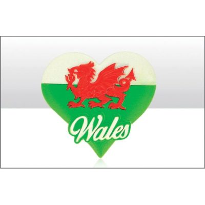 Wales Dragon Printed Resin Magnet