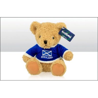 Scotland 20cm Saltire Jumper Soft Toy Bear