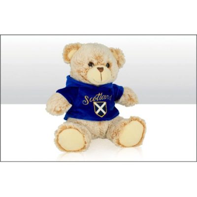 Scotland 20cm Saltire Fleece Hoodie Soft Toy Bear