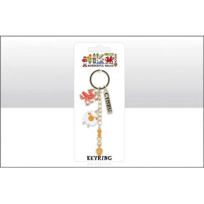 Wonderful Wales 4 Charm Keyring