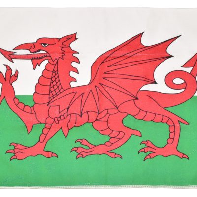 WALES FLAG ECONOMY TEATOWEL