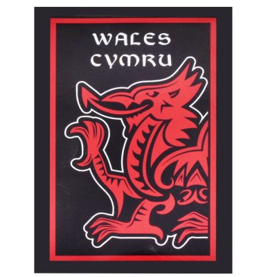 WALES BLACK DRAGON TIN MAGNET